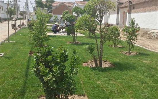 �����干����̫���W(w��ng)�j(lu��)���}����������(zh��n)����Ҵ壺�����_��Ҋ�G�����T�M�@