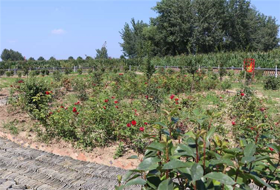 �����干���W(w��ng)�j(lu��)���}������̫���� �D(zhu��n)���(zh��n)·�ڴ壺ȥ����Ɉ@һ�^���򿨣����˴���r����