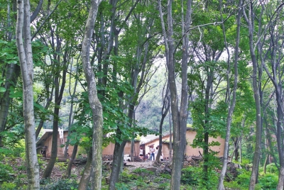 ͩ��ɽ��̎��17�q��ɽ���ӡ��ɼ����һ��(g��)��W(xu��)��