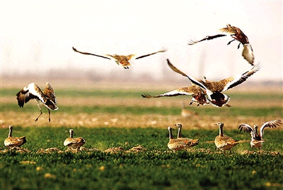 �S�ӝ�غ��B(ni��o)���w �u����Ո(q��ng)���_