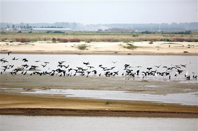 �S�ӝ�غ��B���w �u����Ո(q��ng)���_