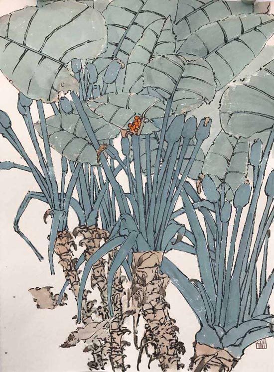 ������Ʒ