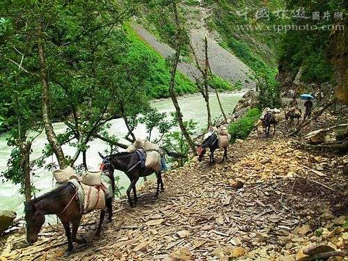 ��(d��)�����Ĵ��c��֮�g���x���_�R�͵��\(y��n)ݔ ����ƽ�z