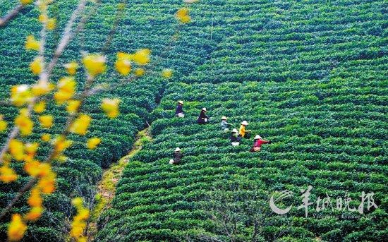 �¸��FС���� �I(l��ng)�Բ�һ�ӵ��������r��