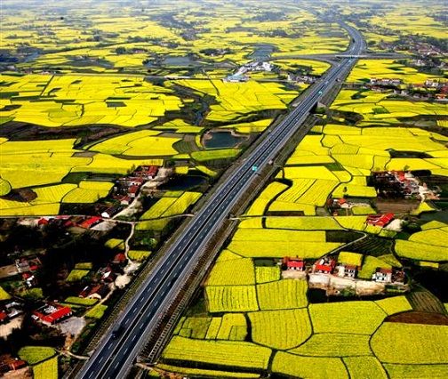 ��N�˻������ �����G�T���L(f��ng)��