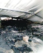 ���̳��T(m��n)���O�ӌOŮ�i�݃�(n��i) ���g���2��δ���ӳ�