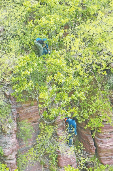 ���_ɽ�ͱ��ϵ���ɽ�� �������80��������֩��b