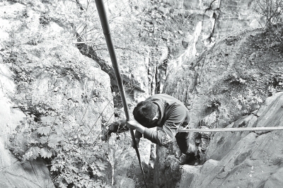 ���_ɽ�ͱ��ϵ���ɽ�� �������80��������֩��b