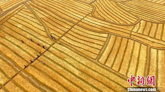 �D�麽���r(n��ng)�������g�����������տ����z