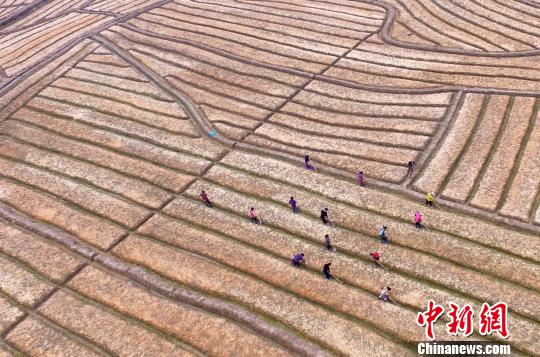 �D�麽���r(n��ng)�������g�����������տ����z