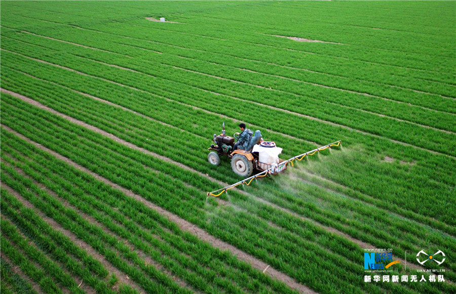 ���ģ������ϼZ�}(c��ng)�����h�ߘ�(bi��o)��(zh��n)�Z��ʾ���^(q��)