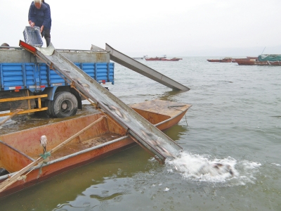 �����ˮ�� 310�fβ�~�����ꑜ�ˮ�������