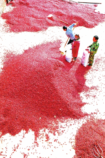 �t�����g����������