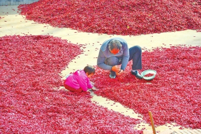 �t�����g����������