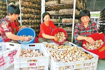 ���ƵZ�^�M(j��n)�����꡿���(y��ng)�h����f�ġ����Ҍ���