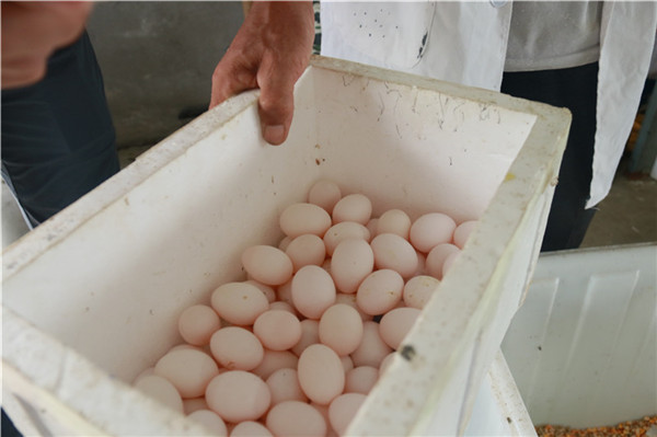 �ᭇ��͸�����ӵ�����ö���u5Ԫ����V�W(w��ng) ����A �z��.JPG