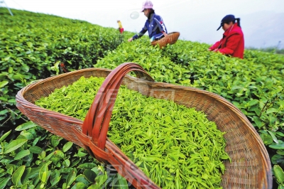 �����b�e���ë�����c��