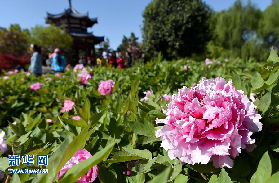 ���������2����ɫ��M�� �p������(d��ng)�r