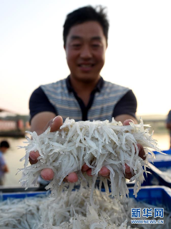 (���)(1)�Ĳ��y�~�Mœ�w