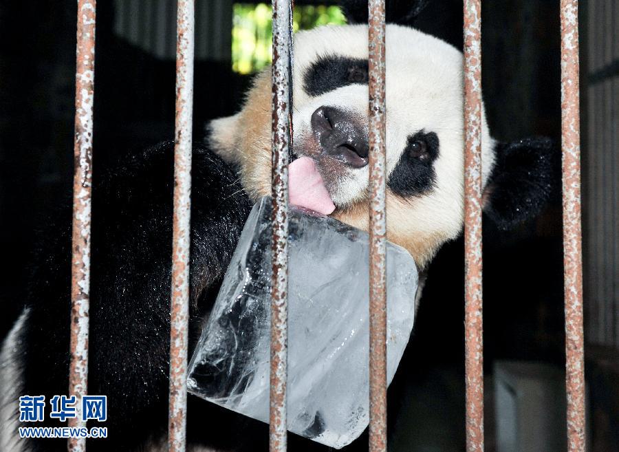 (���(b��o))(1)����؈�����