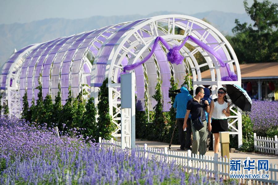 (���(b��o))(2)��Į�е���ɫ����