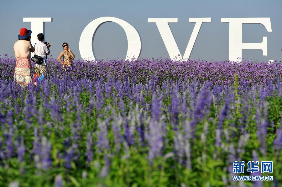 (���(b��o))(1)��Į�е���ɫ����