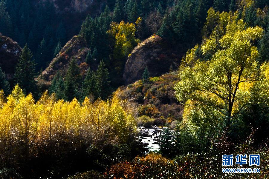 #(�����Ї�)(3)���Bɽ��ɫ��