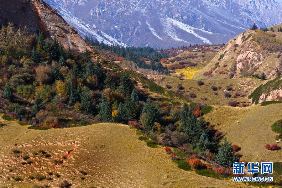 #(�����Ї�)(5)���Bɽ��ɫ��