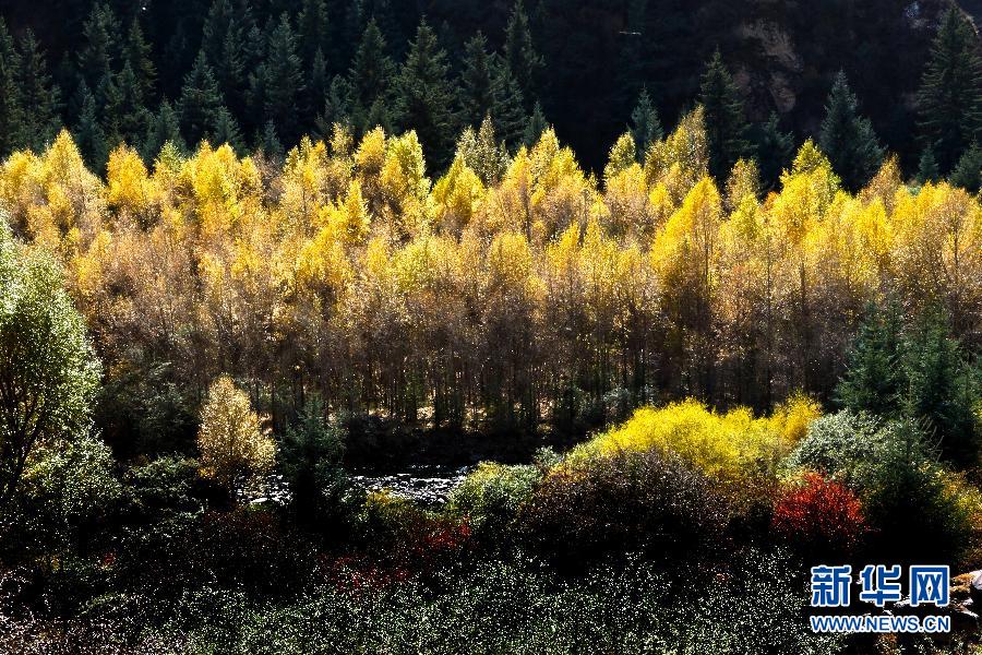 #(�����Ї�)(7)���Bɽ��ɫ��