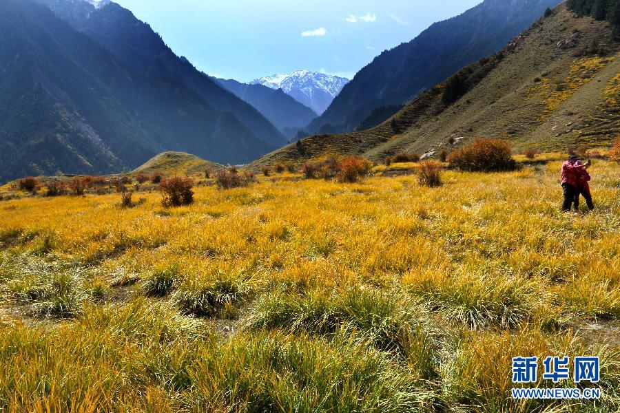 #(�����Ї�)(1)���Bɽ��ɫ��