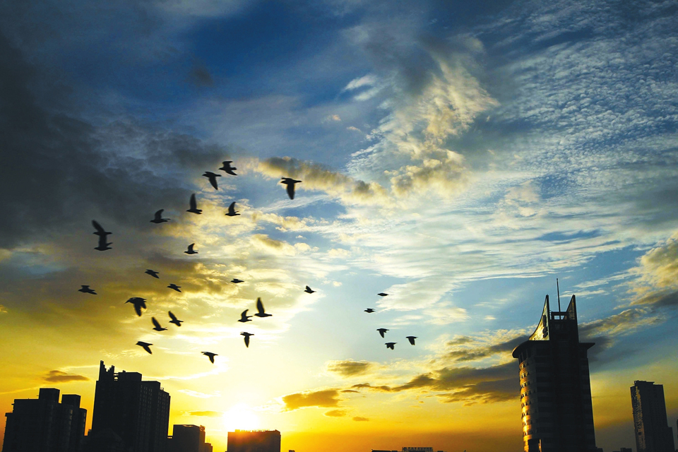 ���L(f��ng)����ħ�g(sh��)�� �����Ʋ�������