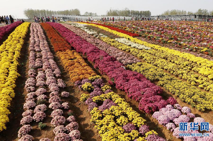 #(���B(t��i))(3)�ջ������뮋��