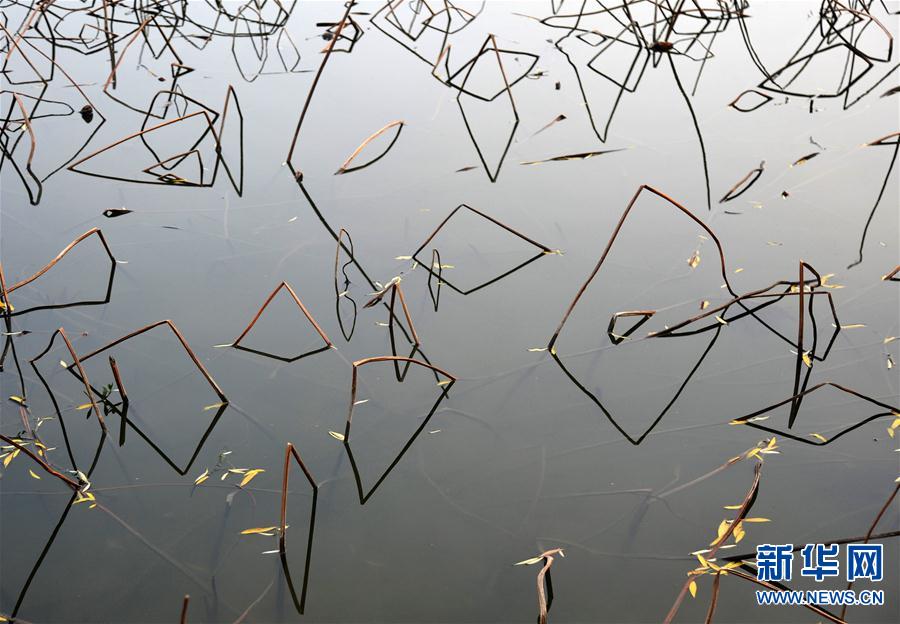 #(ҕ���X)(2)��������Ӱ �xĻ�෼�A