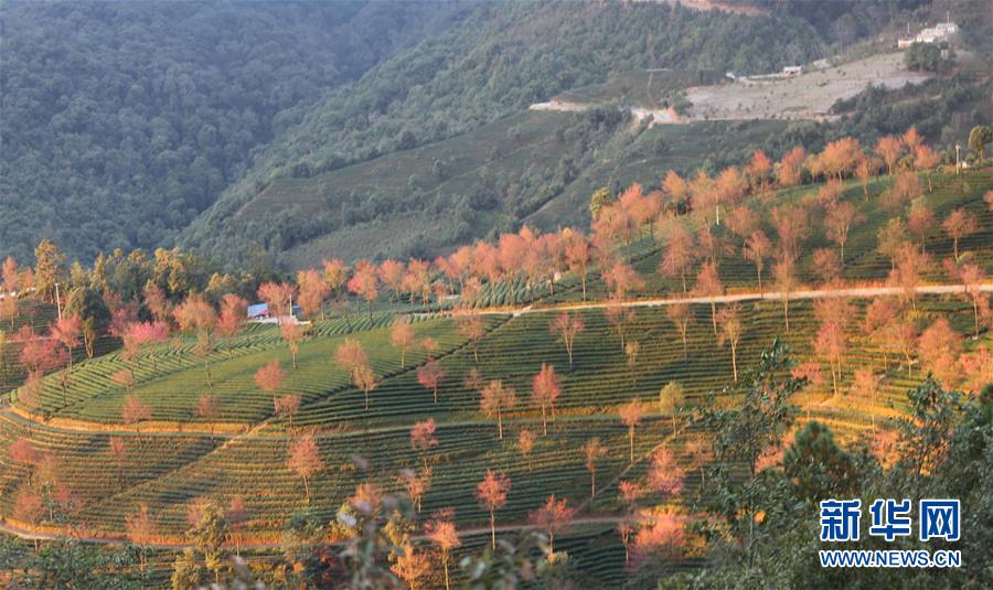 #(�����Ї�(gu��))(4)�������ϝ����ѻ�