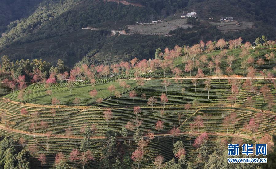 #(�����Ї�(gu��))(1)�������ϝ����ѻ�