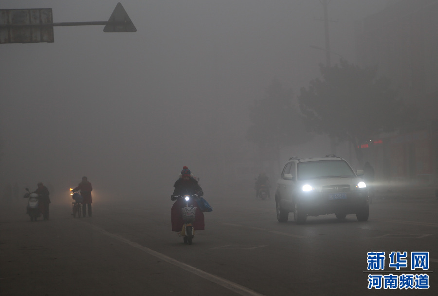 ���϶�����ݴ��F��� 50���������y��