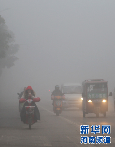 ���϶�����ݴ��F��� 50���������y��