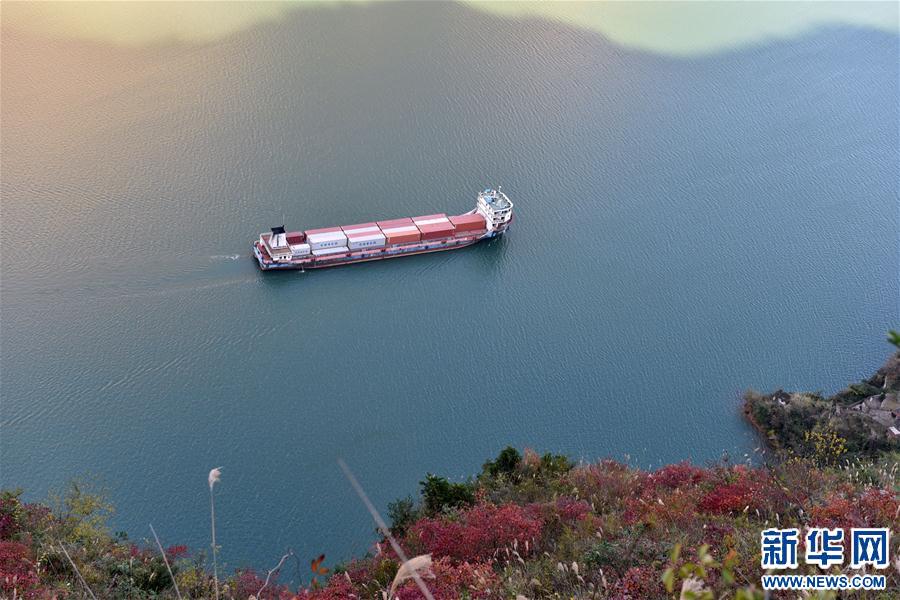 #(���B(t��i))(2)���{�t�~���箋