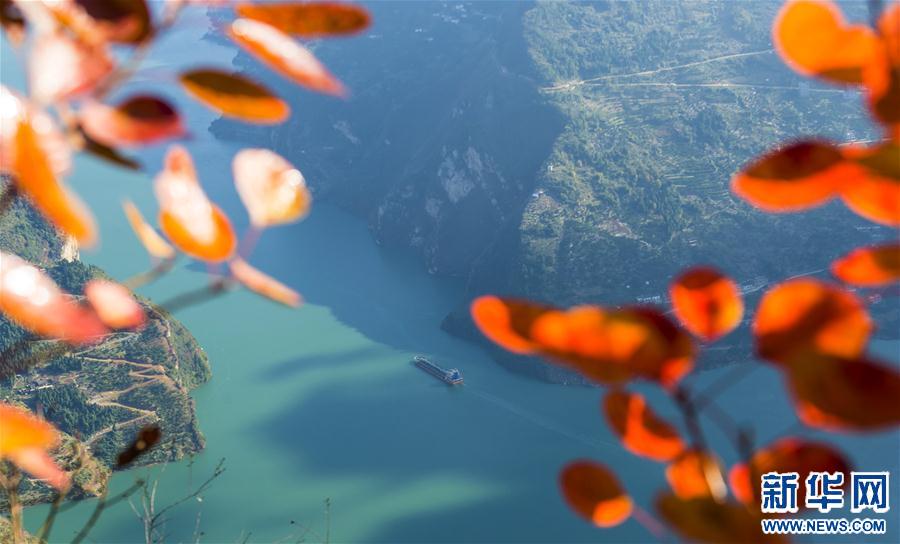 #(���B(t��i))(3)���{�t�~���箋