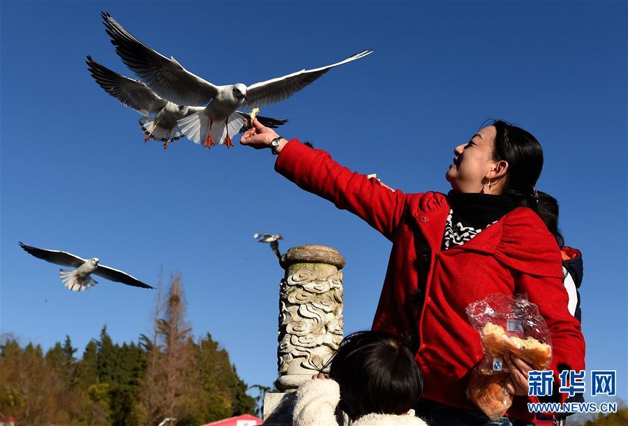 (���)(1)���ա����ǡ�������