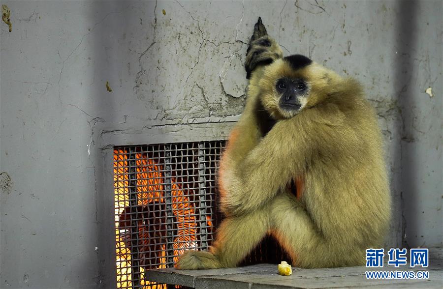 (���(b��o))(1)������(l��i)�u �ɶ���(d��ng)��@С��(d��ng)��ȡů�^(gu��)��