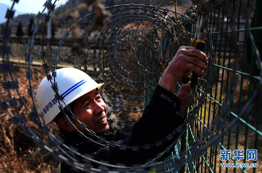 (�P(gu��n)ע���\)(3)��ɽ������o(h��)