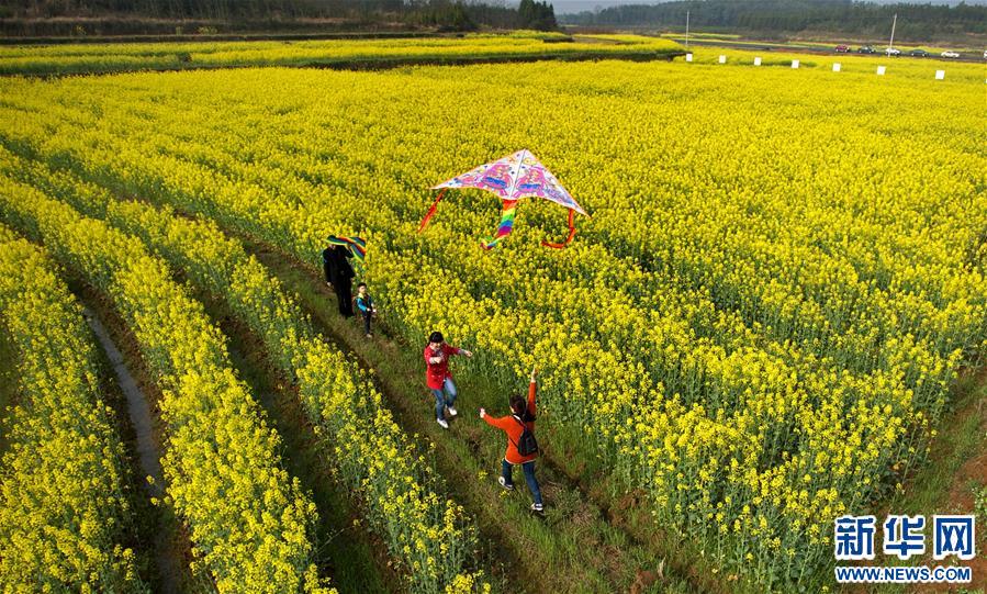 (�w�������})(1)���¶�����?zh��)��^�� ��һ�Ӻ����^