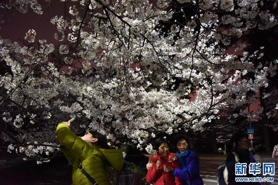 (���(b��o))(1)���ҹ�p�ѻ�