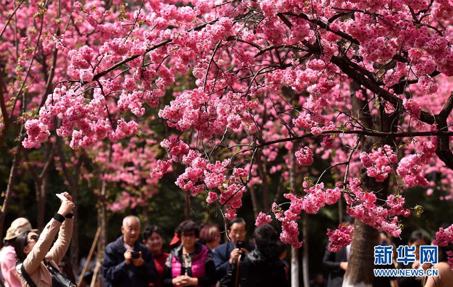 (���)(2)�������Aͨ�ѳ���������