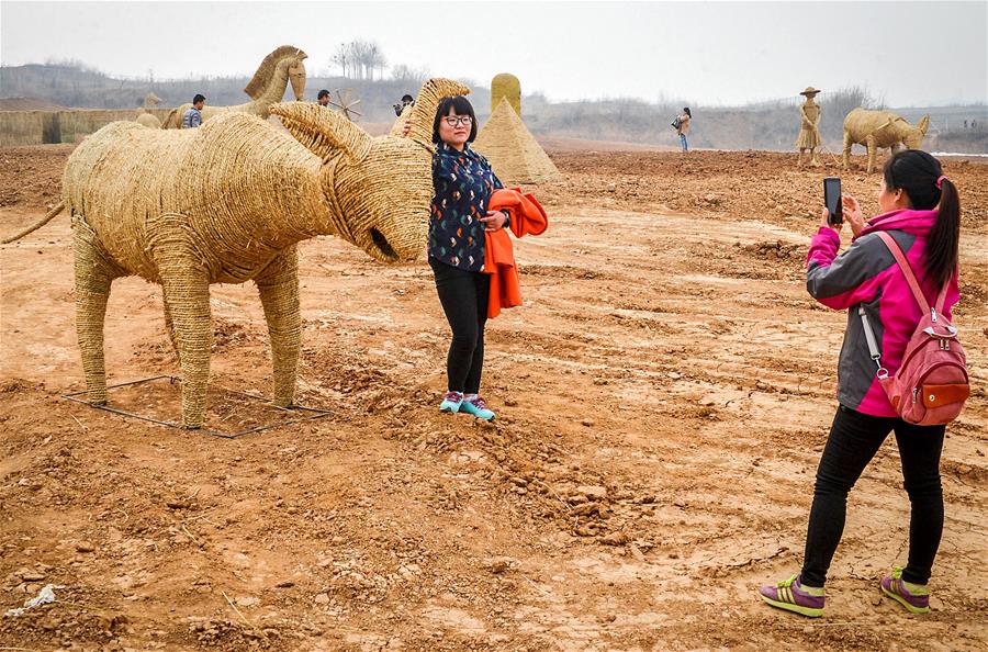 (���(b��o))(2)�������:�����ϵĵ�����ˇ�g(sh��)��(ji��)