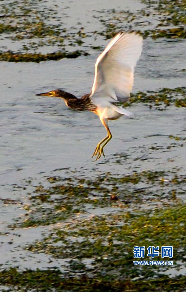 河南汝陽(yáng):碧水藍(lán)天 和諧之美