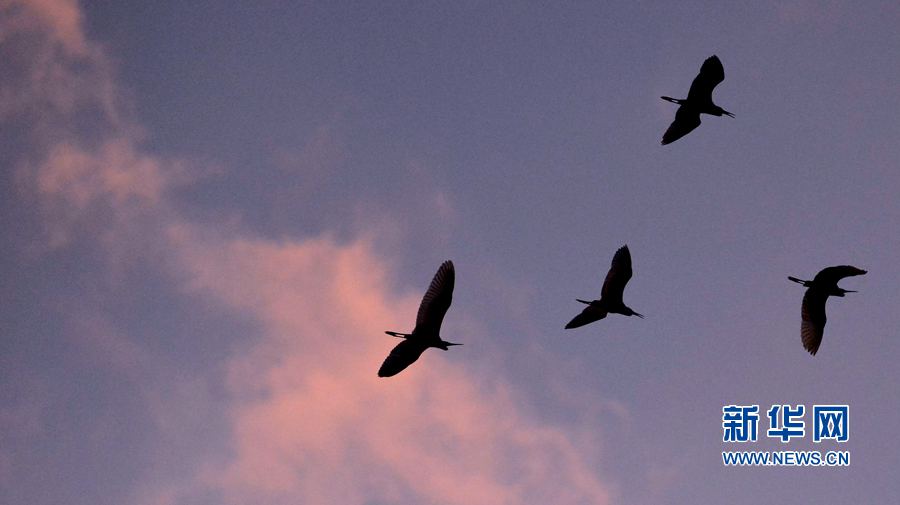 河南汝陽(yáng):碧水藍(lán)天 和諧之美 河南汝陽(yáng):碧水藍(lán)天 和諧之美