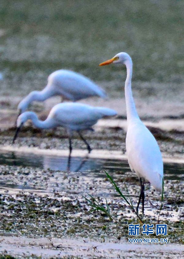 河南汝陽(yáng):碧水藍(lán)天 和諧之美