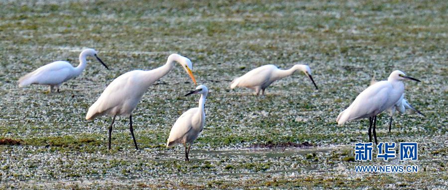 河南汝陽(yáng):碧水藍(lán)天 和諧之美 河南汝陽(yáng):碧水藍(lán)天 和諧之美